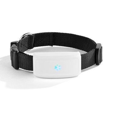 GPS Pet Tracker Guardian GPS Pet Tracker Back2you Back2YouTracking Ltd